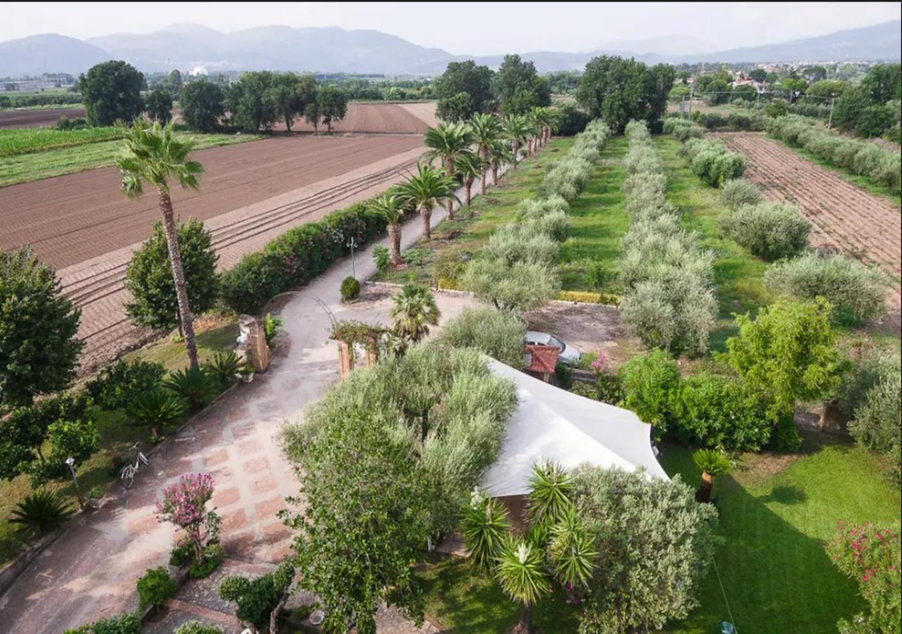 Villa Rosa Lifestyle B&B セッサ・アウルンカ エクステリア 写真